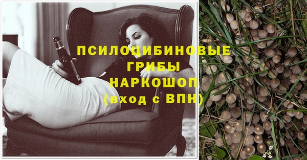 мдпв Балабаново