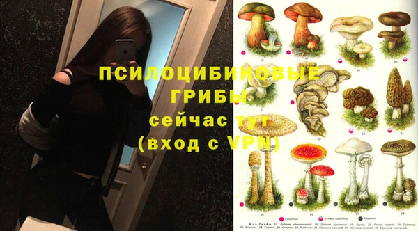 Альфа ПВП Баксан