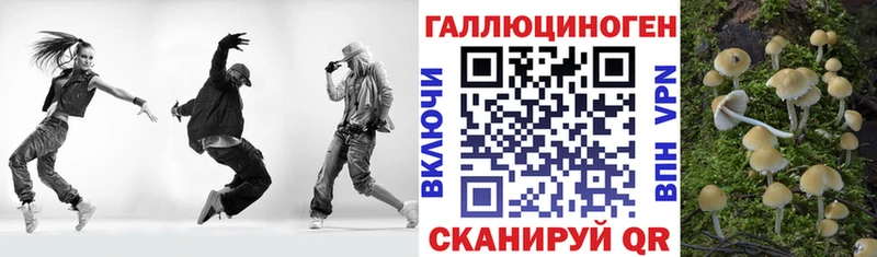 Галлюциногенные грибы MAGIC MUSHROOMS  Звенигород 